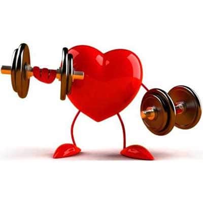 Здоровье сердца и сосудов